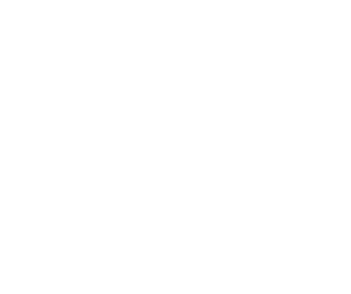 10+ Year Anniversary Seal
