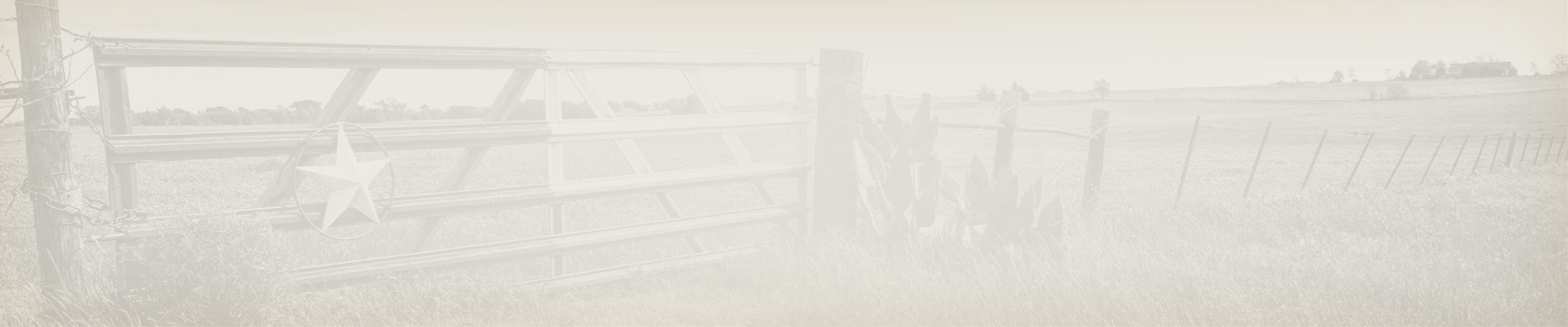 background cta box scaled